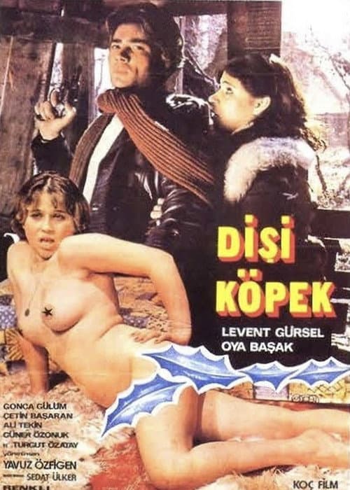 Poster for Dişi Köpek