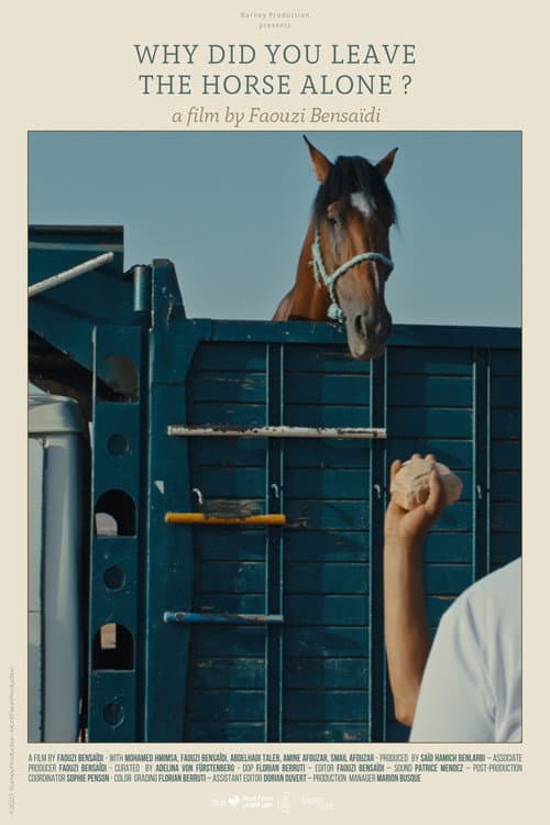 Poster for Why Did You Leave the Horse Alone?