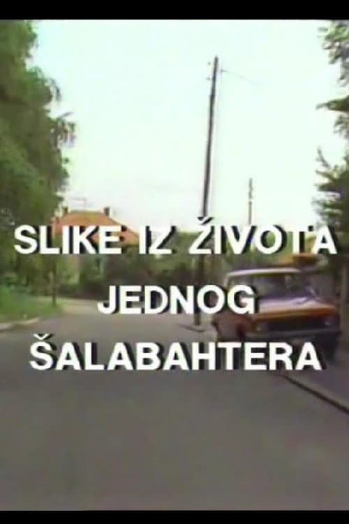 Poster for Scenes from the Life of a Cheet Sheet