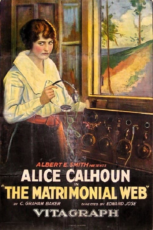 Poster for The Matrimonial Web