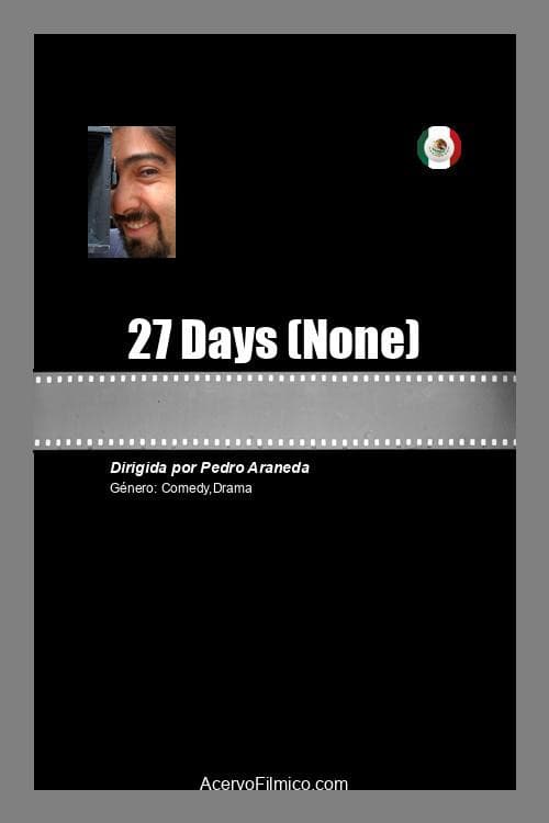 Poster for 27 Days