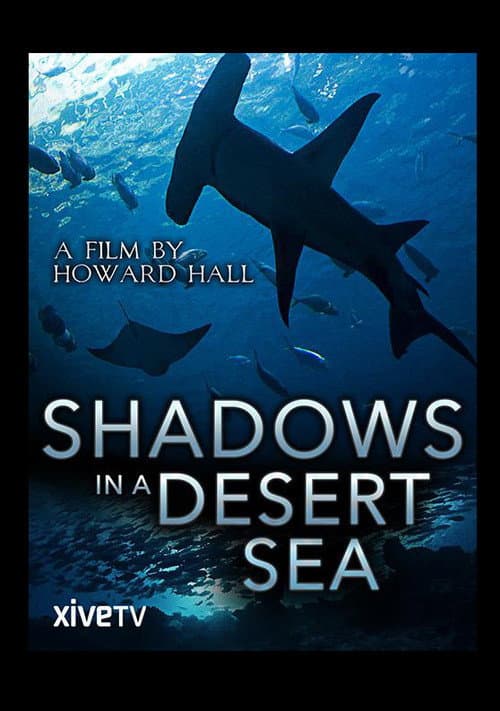 Poster for Shadows in a Desert Sea