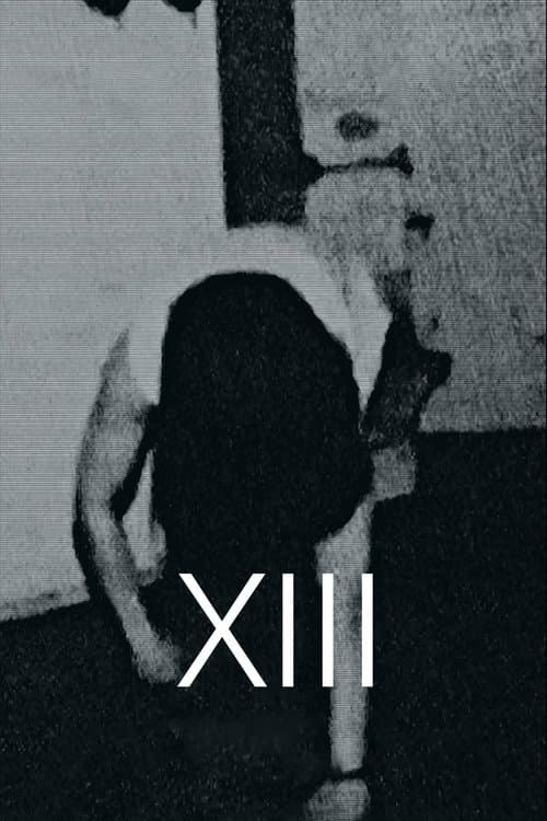 Poster for XIII
