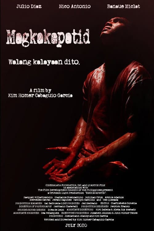 Poster for Blood Ties