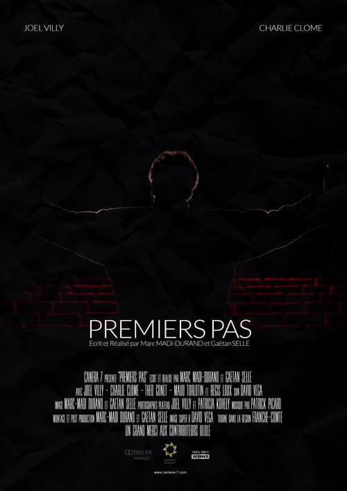Poster for Premiers pas
