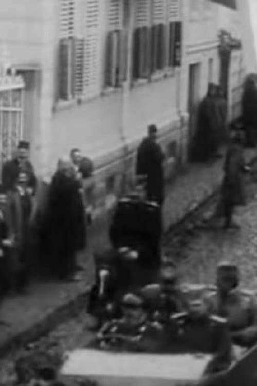 Постер до фільму «The Reception of the Greek King and the Heir Pavle Made by General Bojovic in Bitola»