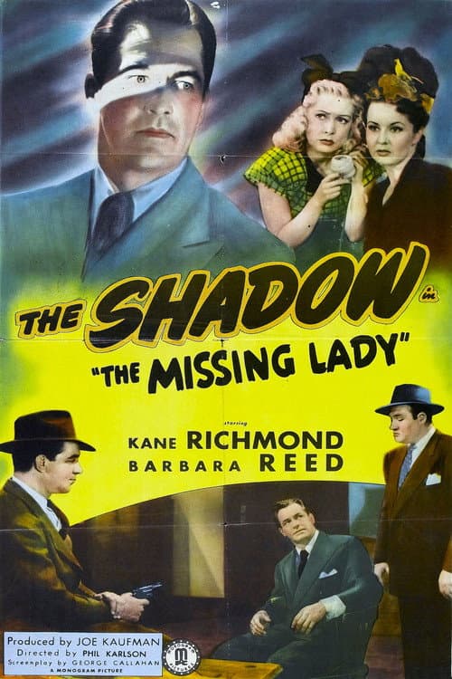 Poster for The Missing Lady