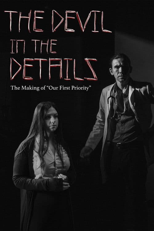 Poster for The Devil in the Details