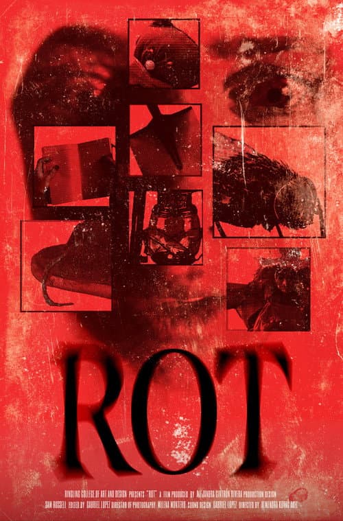 Poster for ROT