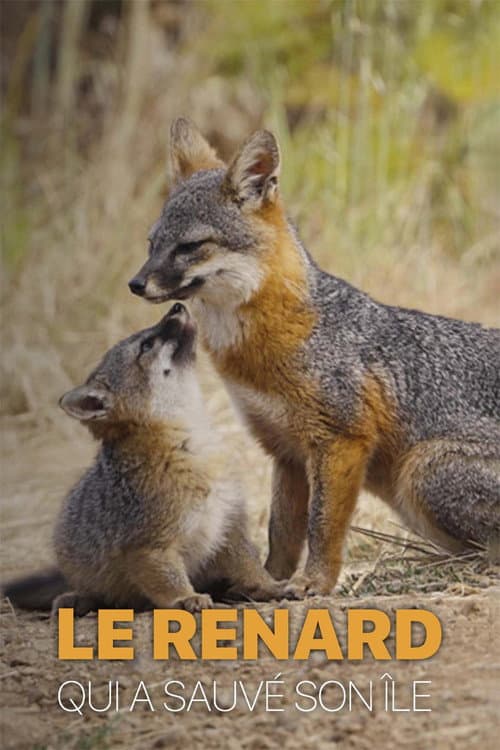 Poster for Le renard qui a sauvé son île