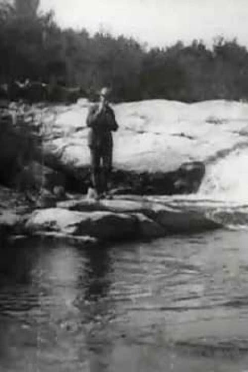 Poster for Brook Trout Fishing