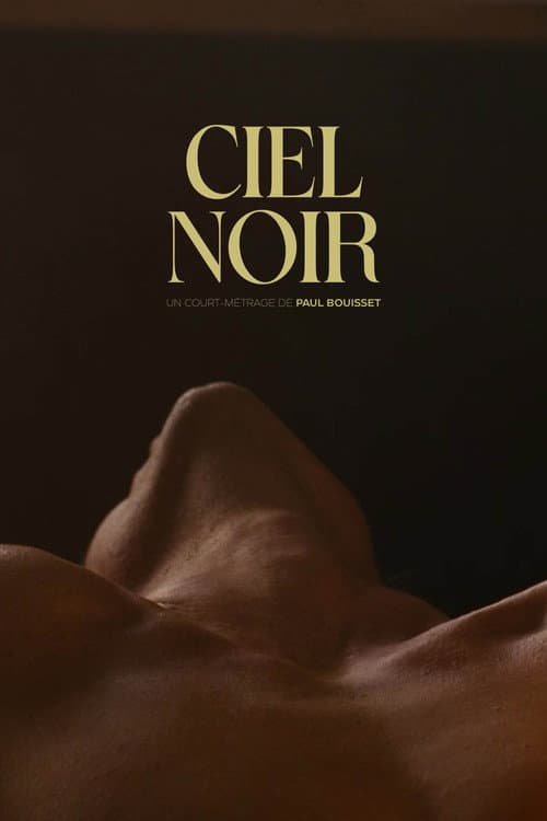 Poster for Ciel noir