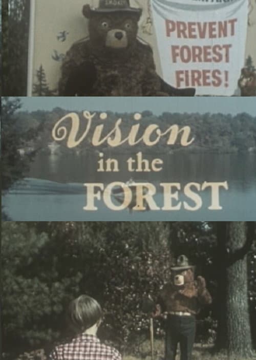 Poster for Vision In The Forest