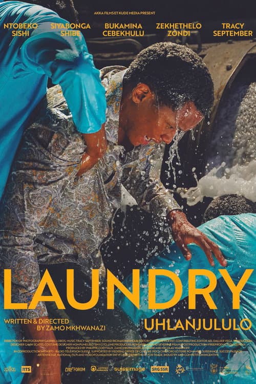 Poster for Laundry