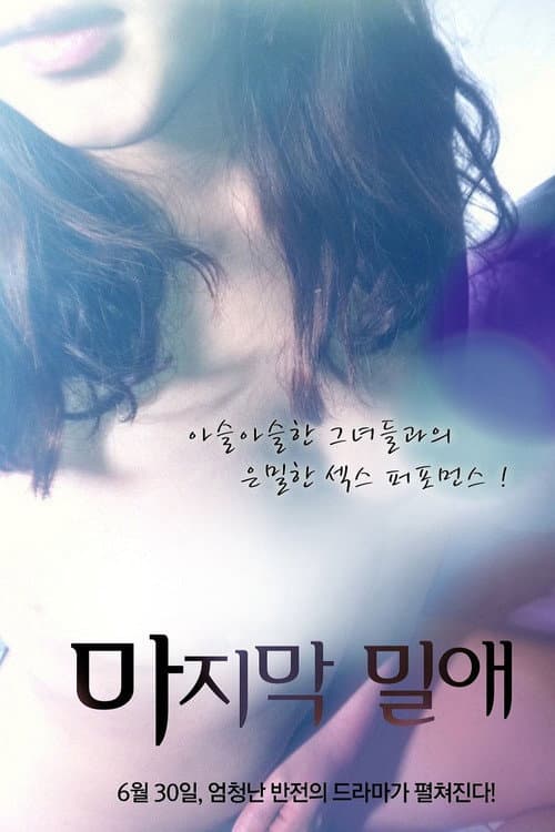 Poster for The Last Liaison