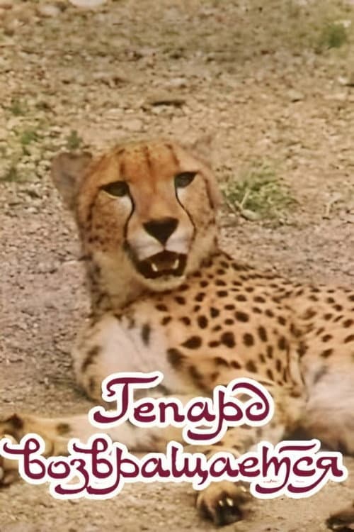Poster for The Cheetah Comes Back