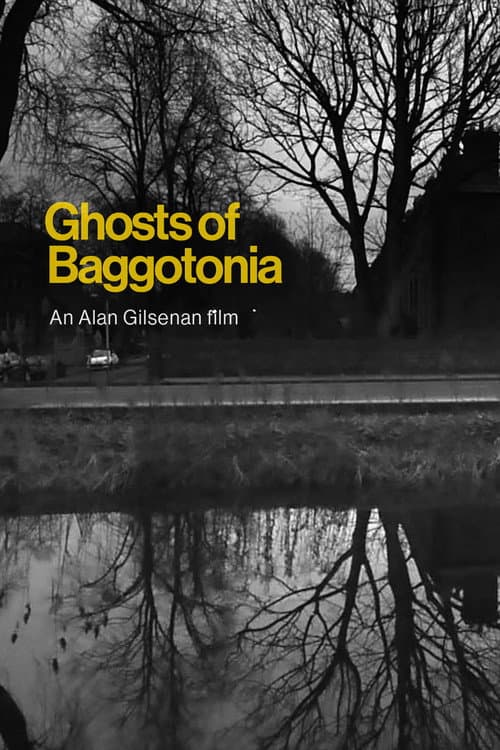 Poster for The Ghosts of Baggotonia
