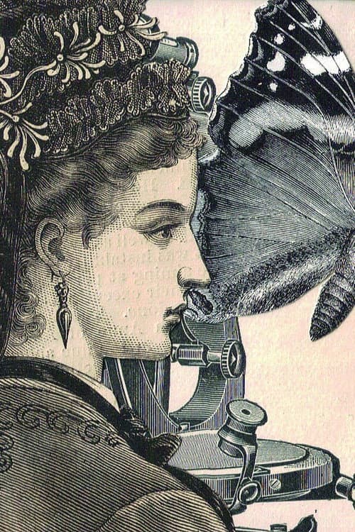 Poster for Beyond Enchantment