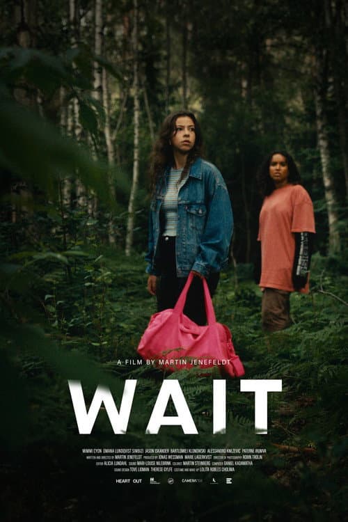 Poster for Wait