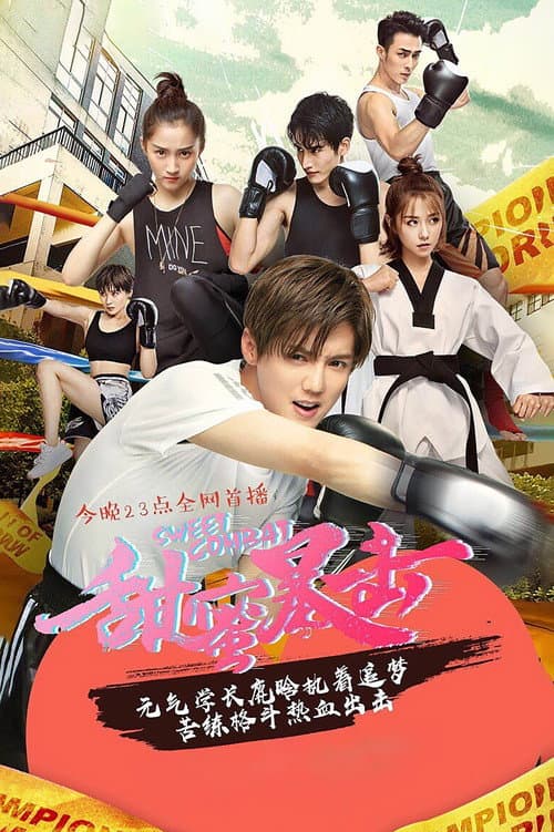 Poster for Sweet Combat