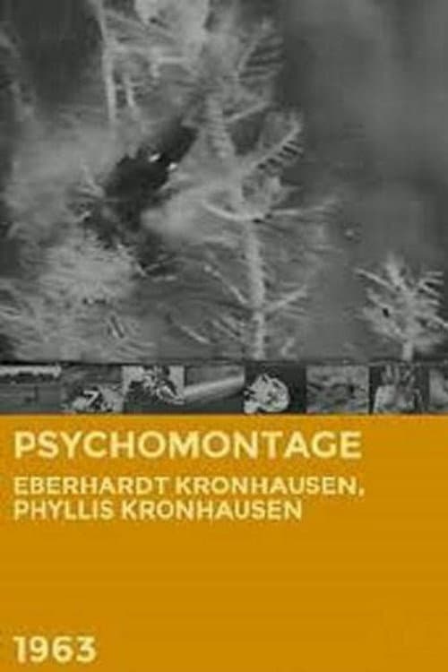 Poster for Psychomontage