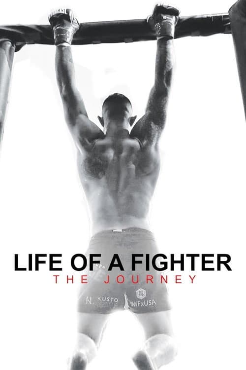 Poster for Life of a Fighter: The Journey