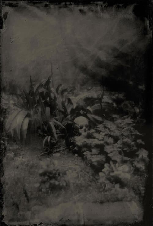 Poster for Boogie & Demons