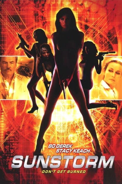 Poster for Sunstorm