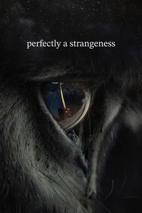 Poster for perfectly a strangeness