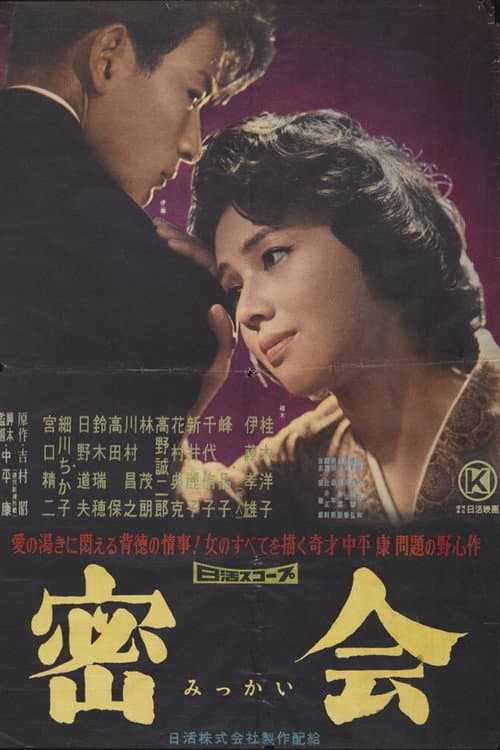 Poster for A Secret Rendezvous