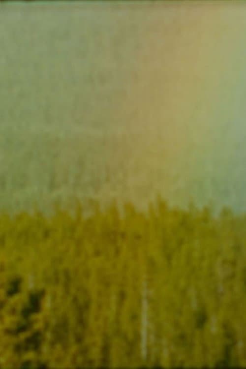Poster for Bird