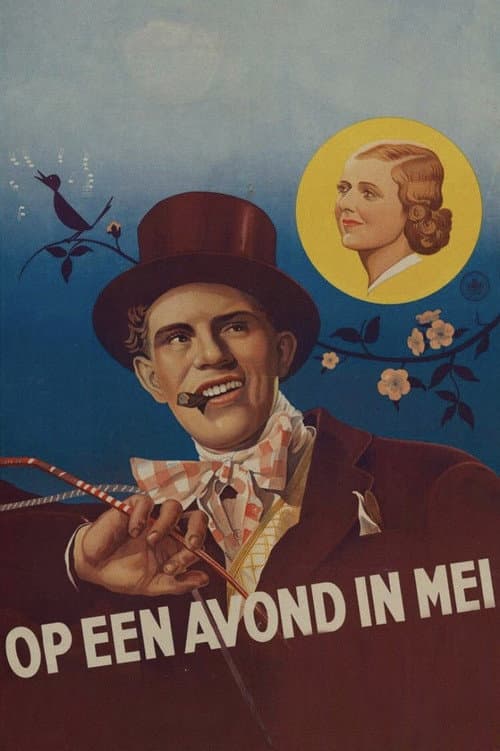 Poster for Op een avond in mei