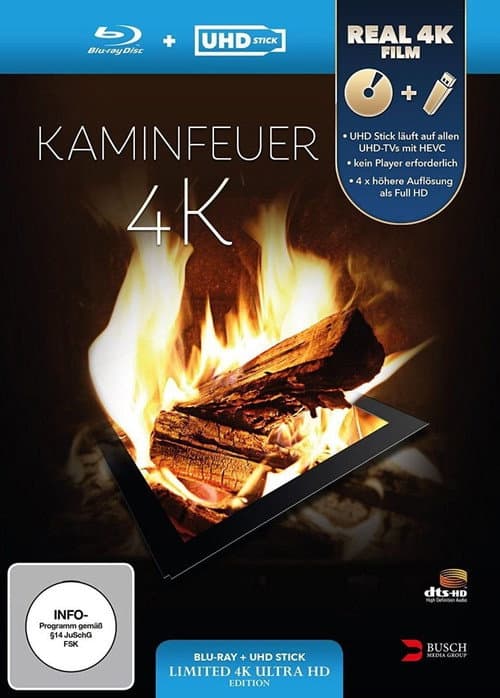Poster for Kaminfeuer 4K