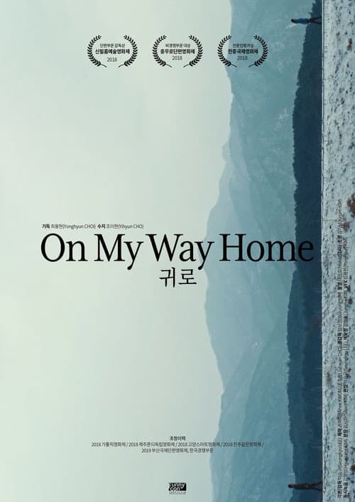 Poster for On my way Home
