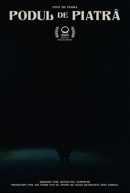 Poster for The Stone Bridge