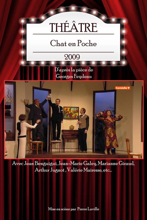 Poster for Chat en Poche
