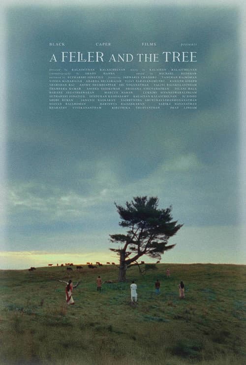 Poster for A Feller and the Tree