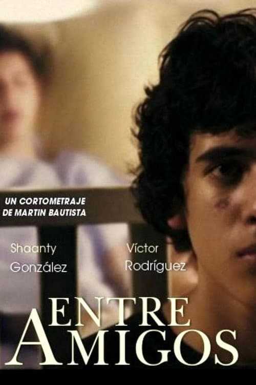 Poster for Between Friends