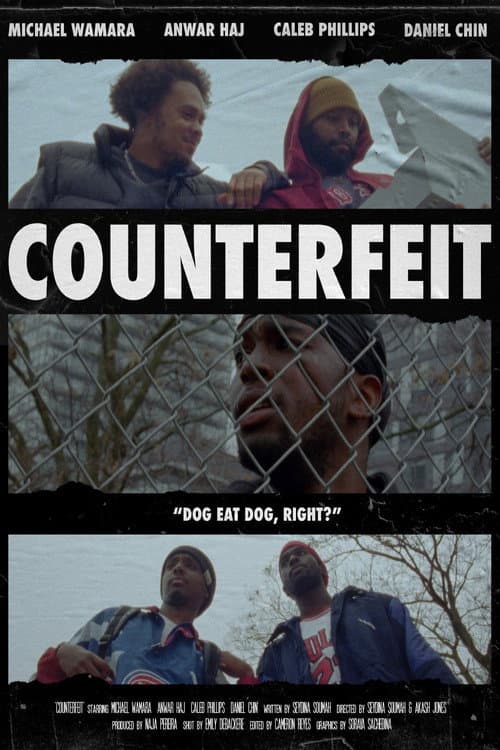 Poster for Counterfeit