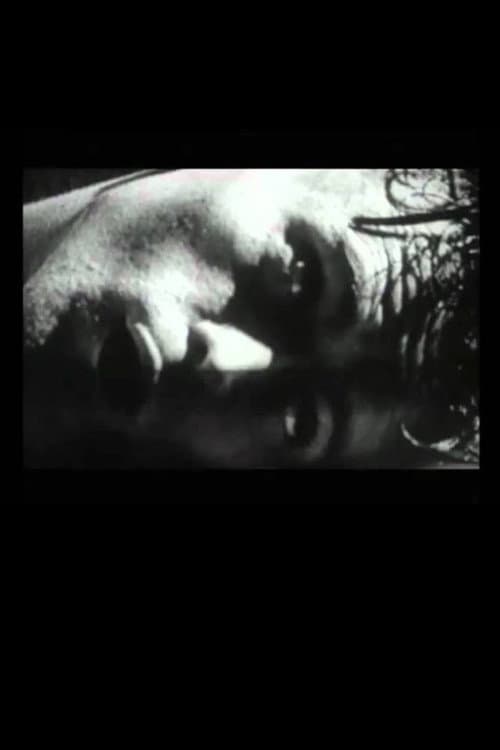 Poster for The Hunger Artist
