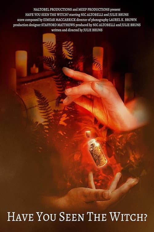 Poster for Have You Seen the Witch?