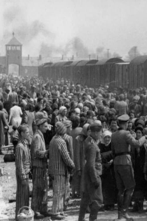 Poster for Dr Münch - läkare i Auschwitz