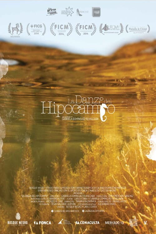 Poster for The Dance of Memory