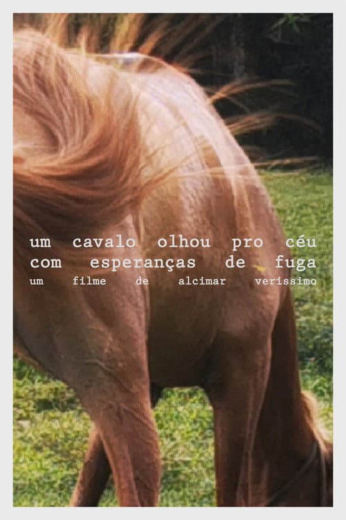 Poster for A horse looked at the sky with hope of escape