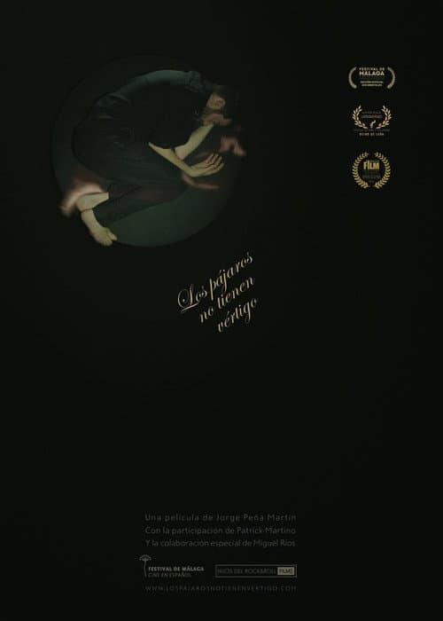 Poster for Los pájaros no tienen vértigo