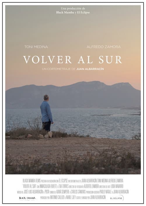 Poster for Volver al sur