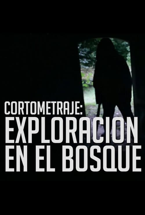 Poster for Tragic Search in the Woods