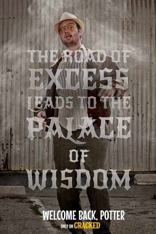 Poster for Welcome Back, Potter