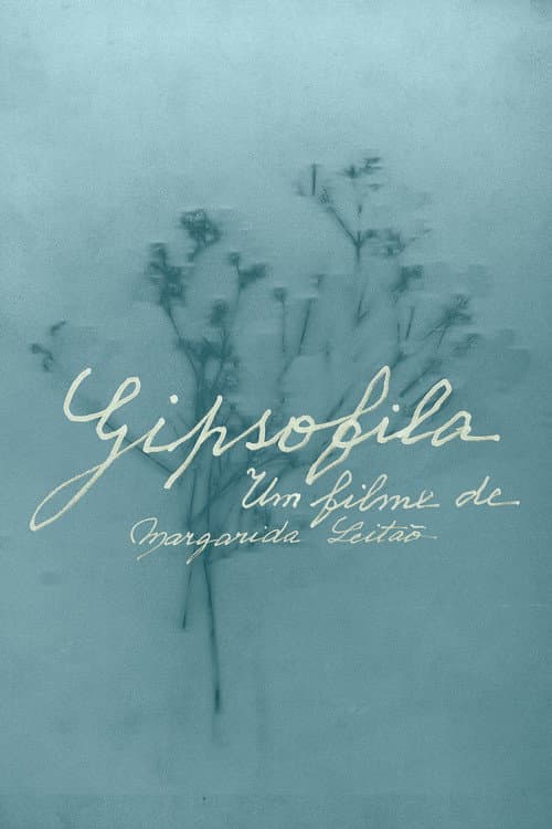 Poster for Gypsophila