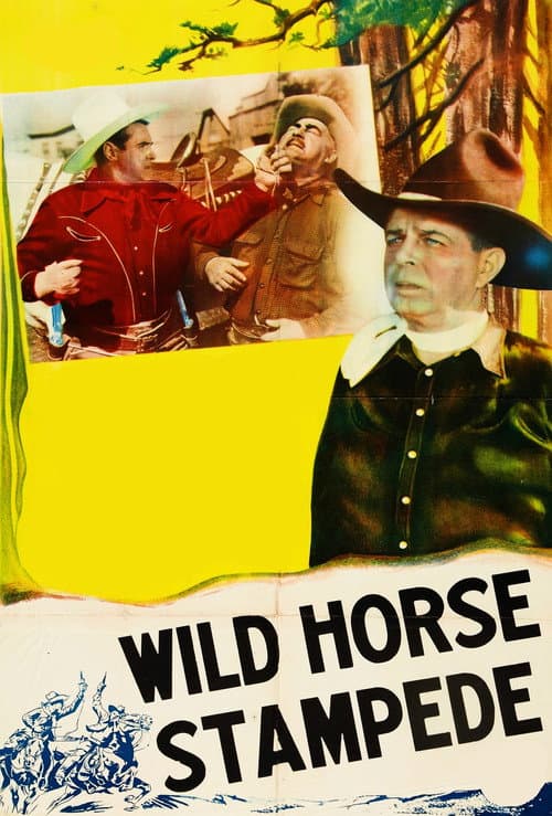 Poster for Wild Horse Stampede